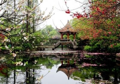 Wuhan Botanical Garden