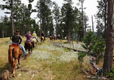 Guided Horseback Trail Rides