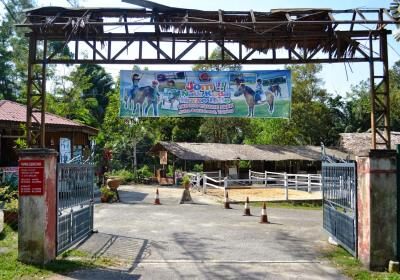 Taiping Equine Park