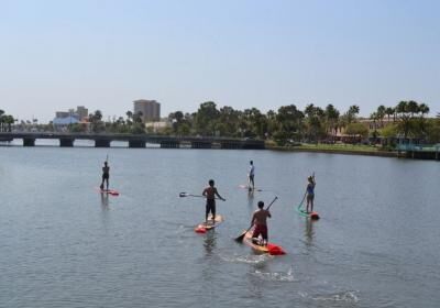Three Brothers Boards Dolphin & Manatee Paddle Board Tours