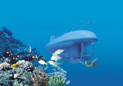 Maui Undersea Adventures