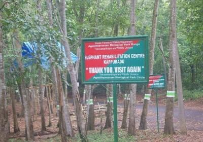 Kottoor Kappukadu Elephant Rehabilitation Centre