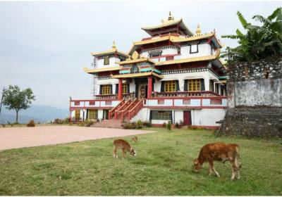Zang Dhok Palri Monastery