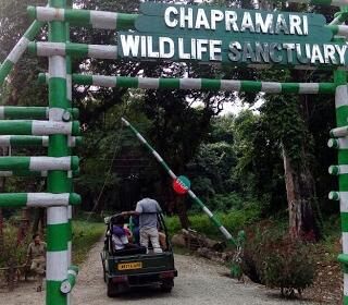 Chapramari Forest