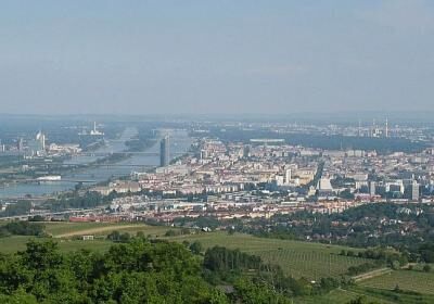Danube Island