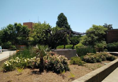 McClung Museum Of Natural History And Culture