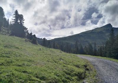 Maennlichen Romantikweg