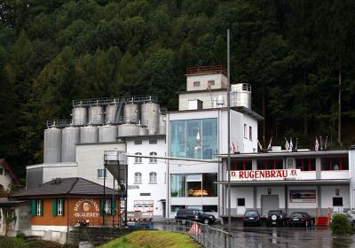 Rugenbrau