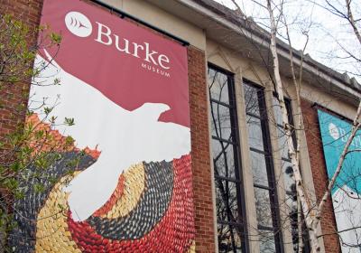 Burke Museum Of Natural History And Culture