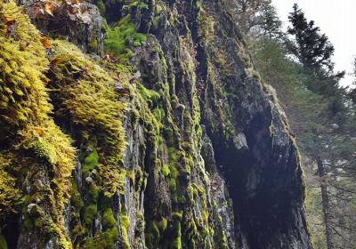 Winner Creek Trail