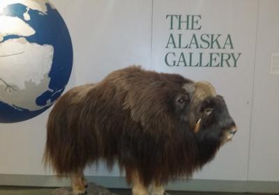 Alaska Public Lands Information Center