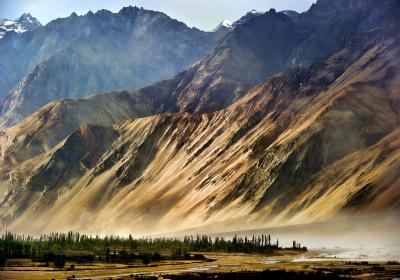 Nubra Valley