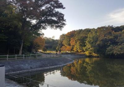 Sakatagaike Park