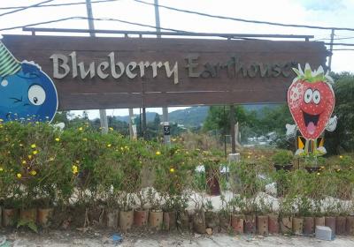 Blueberry Earthouse
