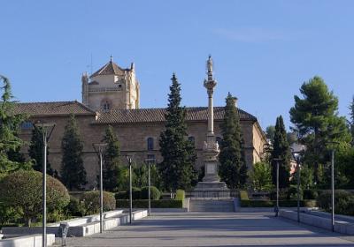 University Of Granada