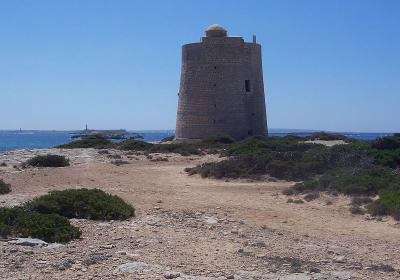 Torre De Ses Portes