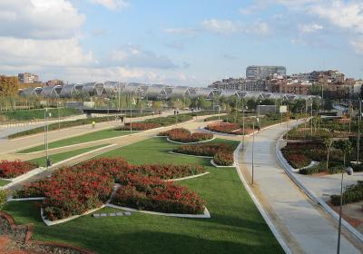 Madrid Rio