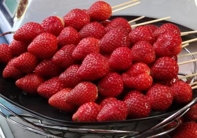Healthy Strawberry Farm