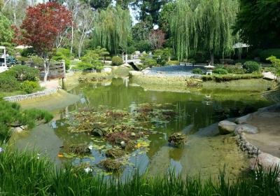 Earl Burns Miller Japanese Garden
