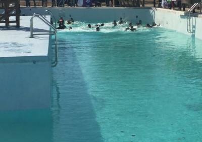 Safari Joes H20 Water Park