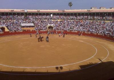 Feria Del Caballo