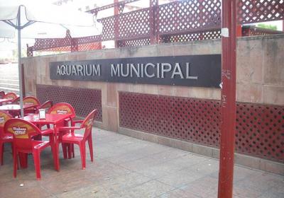 Acuario Municipal De Santa Pola