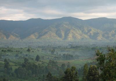 Rwenzori Moutains National Park
