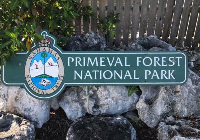 Primeval Forest National Park