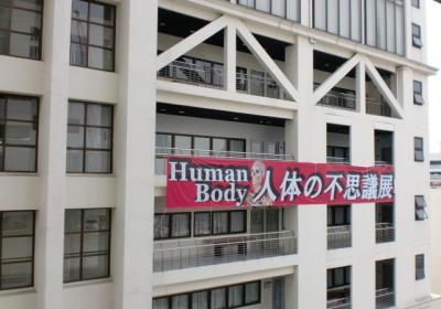 Human Body Museum