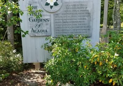 Wild Gardens Of Acadia