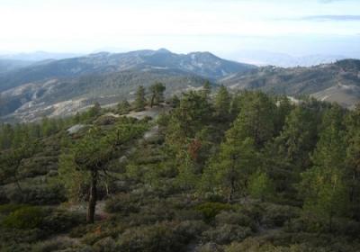 San Benito Mountain Research Natural Area