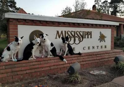 Mississippi Welcome Center, Lauderdale County