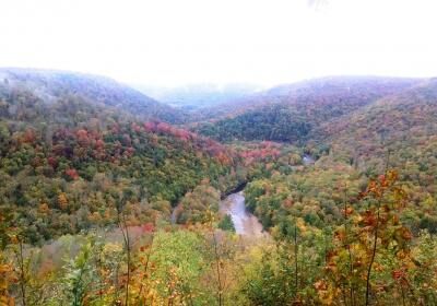 Loyalsock State Forest