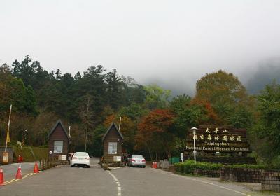 Taiping Mountain Forest Recreation Area