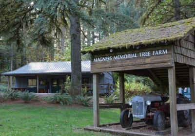 Magness Memorial Tree Farm