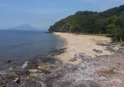 Things to do in Paiton | List of Tourist Attractions in Paiton - TripHobo