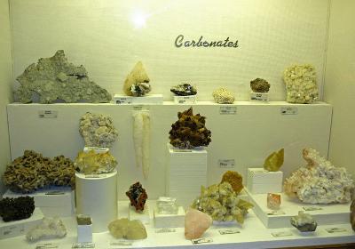 Museum Of Geology
