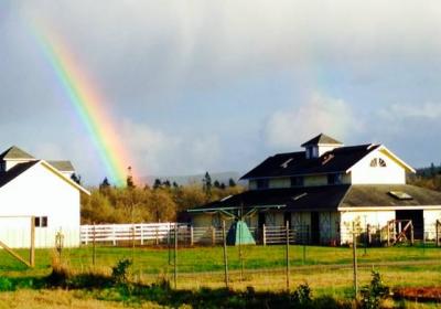 Rainbow Meadows Farm