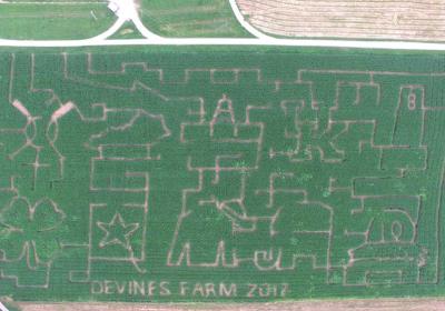 Devine's Corn Maze & Pumpkin Patch