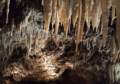 California Cavern State Historic Landmark