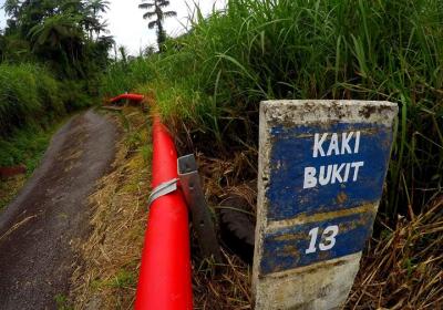 Bukit Larut