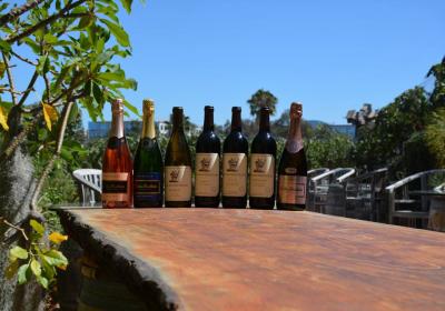 Newport Beach Vineyards And Winery