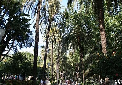 Parque De Malaga
