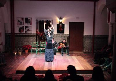 La Casa Del Flamenco  Auditorio Alcantara