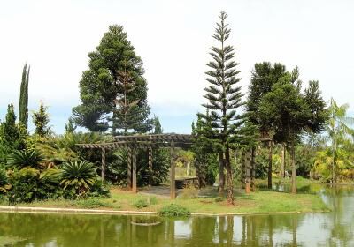 Jardim Botanico De Brasilia
