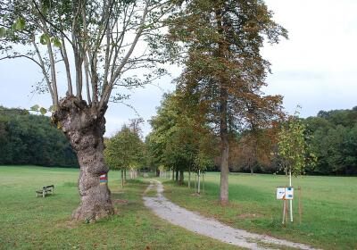 Naturpark Die Wuste Mannersdorf