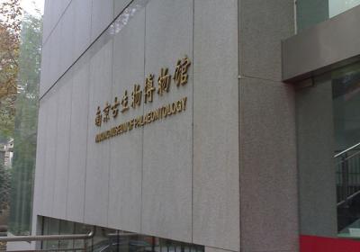 Nanjing Museum Of Palaeontology