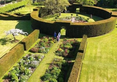 Glenarm Castle's Historic Walled Gardens