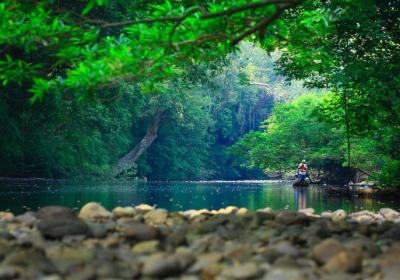 National Park (taman Negara)