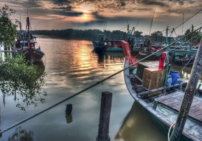 Things to do in Kuala Selangor | List of Tourist Attractions in Kuala